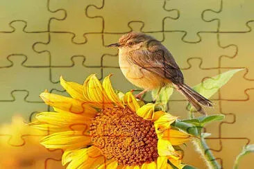 imagem jigsaw puzzle