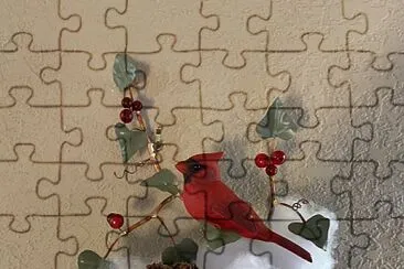 Cardinal jigsaw puzzle