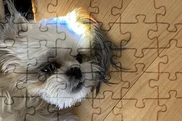 Mia jigsaw puzzle