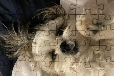 Mia jigsaw puzzle