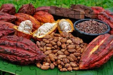 cacao ecuatoriano jigsaw puzzle