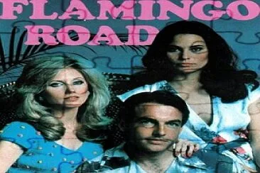 Flamingo Road jigsaw puzzle