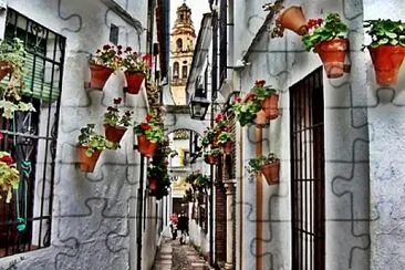 Callejón de Córdoba jigsaw puzzle