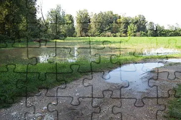 campi allagati jigsaw puzzle