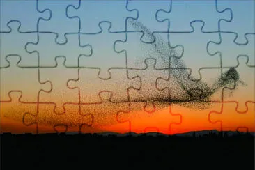 景色 jigsaw puzzle