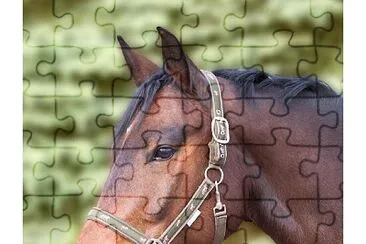 cheval bai jigsaw puzzle