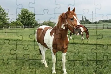 cheval pie jigsaw puzzle