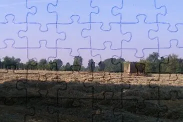 campo di grano jigsaw puzzle