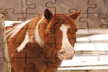 CHEVAL PIE jigsaw puzzle