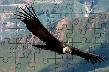 El condor pasa jigsaw puzzle