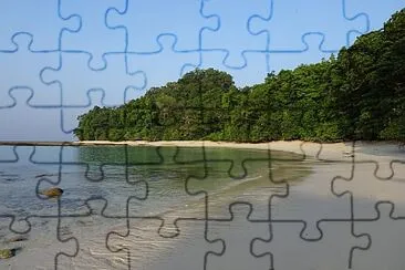 B133 jigsaw puzzle