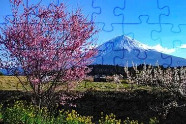 imagem jigsaw puzzle