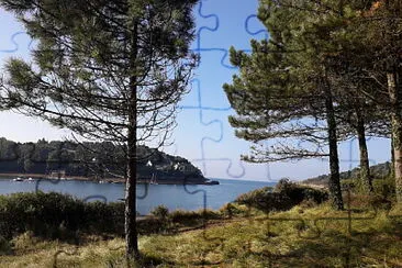 littoral jigsaw puzzle