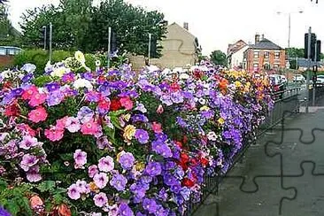 פאזל של Summer Flowers