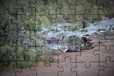 צילום3: Masre Aiemn jigsaw puzzle