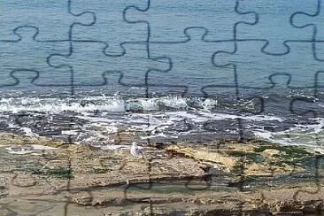 aa jigsaw puzzle