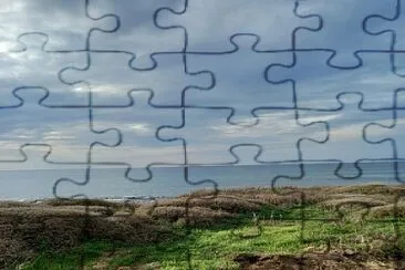 ad jigsaw puzzle