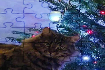 פאזל של chat au sapin