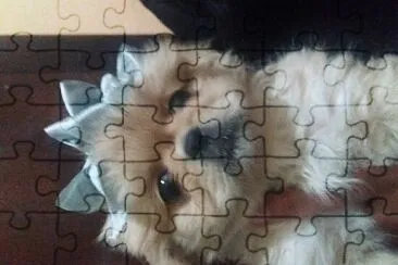 Tareas de pensamiento crítico jigsaw puzzle