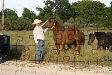 Wagon Wheel Ranch jigsaw puzzle