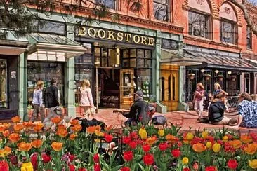 bookstore jigsaw puzzle