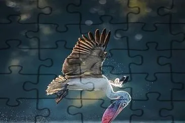 oiseau jigsaw puzzle