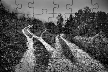 Three way jigsaw puzzle