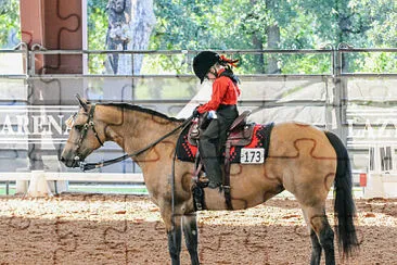 2018 Western Dressage World Championship Show jigsaw puzzle