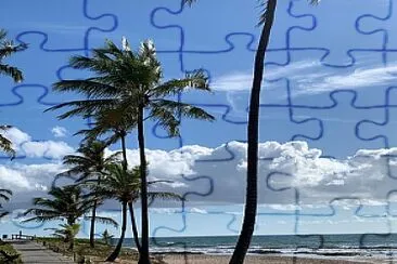 Bahia jigsaw puzzle