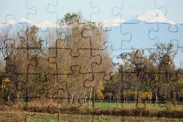 che boscaglia jigsaw puzzle