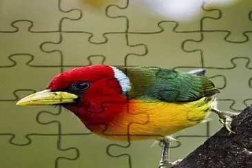 oiseau jigsaw puzzle