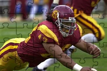 USC TroyPolamalu1