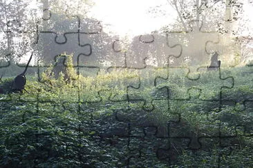 che sottobosco jigsaw puzzle