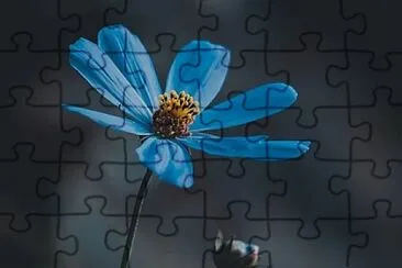 OK jigsaw puzzle