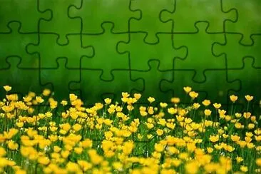 OK jigsaw puzzle