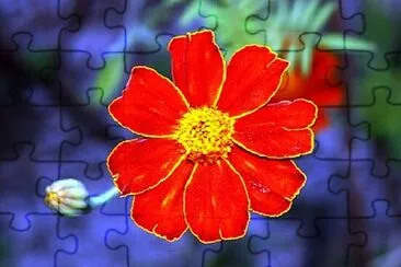 OK jigsaw puzzle