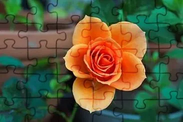 OK jigsaw puzzle