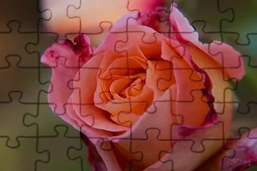 OK jigsaw puzzle