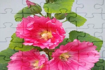 flores jigsaw puzzle