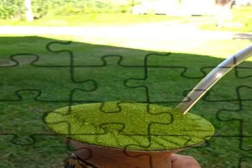 chimarrão jigsaw puzzle