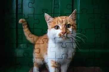 . jigsaw puzzle