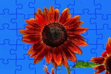 , jigsaw puzzle