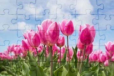 Foto jigsaw puzzle