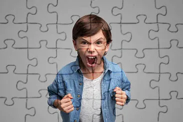 Angry jigsaw puzzle