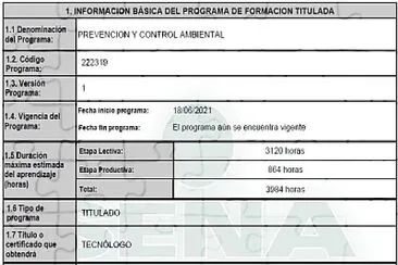 Programa de formacion