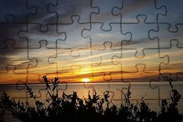 mer jigsaw puzzle