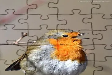 oiseau jigsaw puzzle