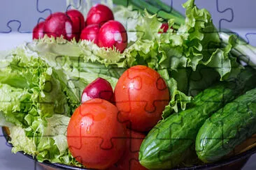 Lechugas, tomates y pepinos