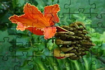 FLORES jigsaw puzzle