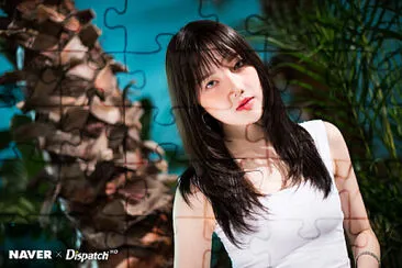 Yerin Fever jigsaw puzzle